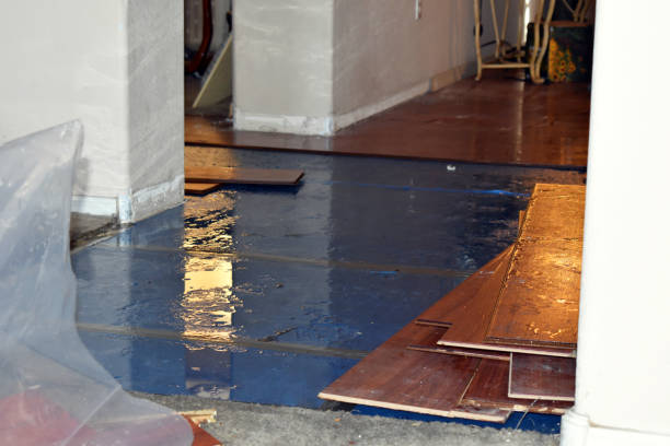 Professional Burst Pipe Cleanup technician working in Bowers, PA